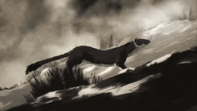 Nickel 2026 — June 22–28 at the LSPU Hall in St. John's. 50 incredible films from our province, and beyond.

Single tick