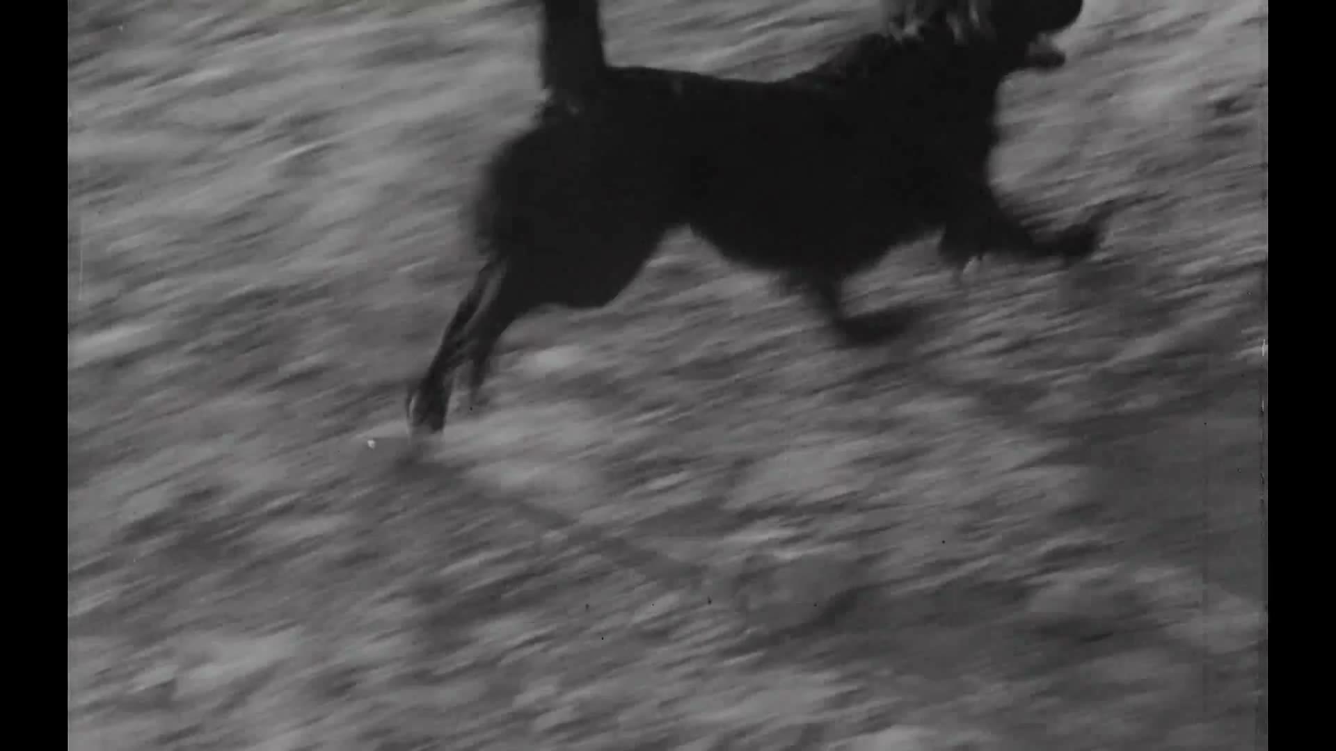 Shot 19 reference frame