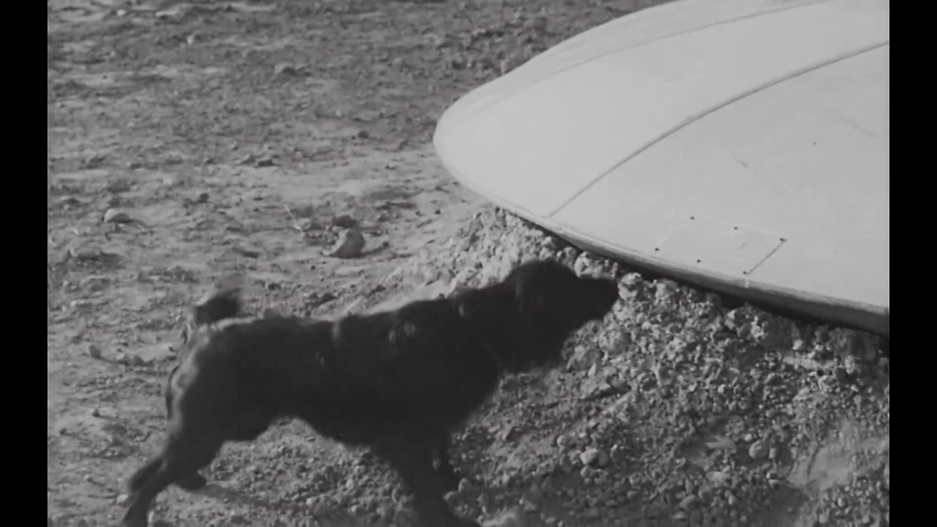 Shot 21 reference frame